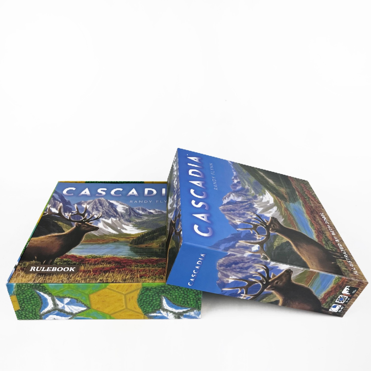Cascadia Brettspiel |   Strate – Board Game Harmonies Bewertung und Preis
